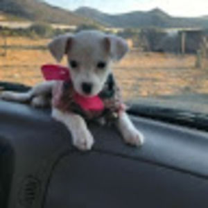 Meet your Posher, Horacio